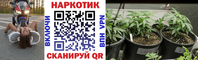 Купить закладку Alpha-PVP  Меф мяу мяу  Канабис  Баксан