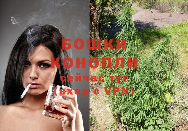 молекула духа Баксан
