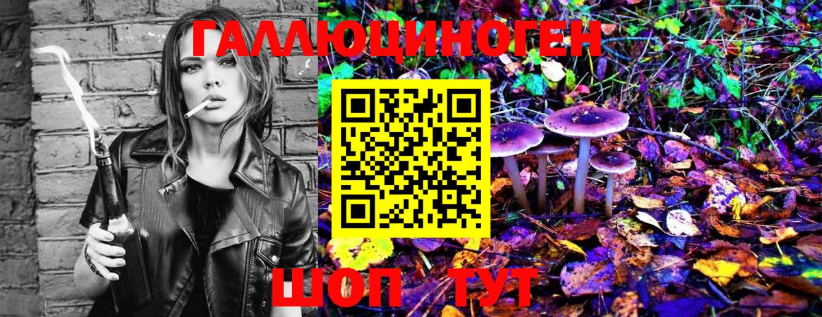 Псилоцибиновые грибы прущие грибы  Баксан 