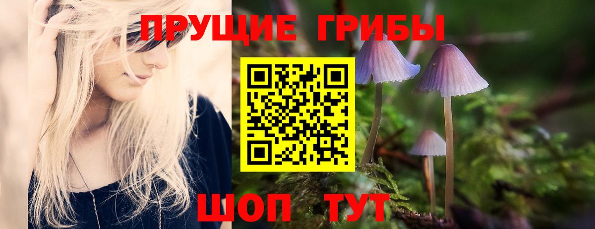 Баксан  где купить   Вход с VPN  Галлюциногенные грибы Psilocybine cubensis  Псилоцибиновые грибы прущие грибы 