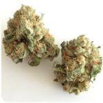 Шишки "White Widow"  (Белая вдова)  Гидропоника -  Бошка VHQ в Баксане